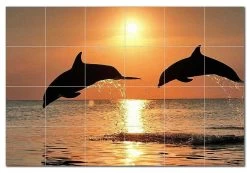 Dolphin Ceramic Tile Mural Kitchen Backsplash Bathroom Shower, 402794-XL64