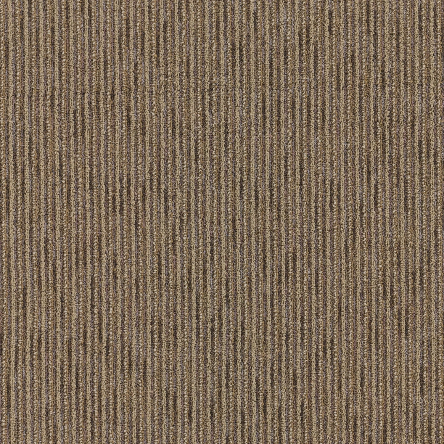 Goodwick 24" X 24" (72SF/carton) Carpet Tile In SCIENTIST - Image 5