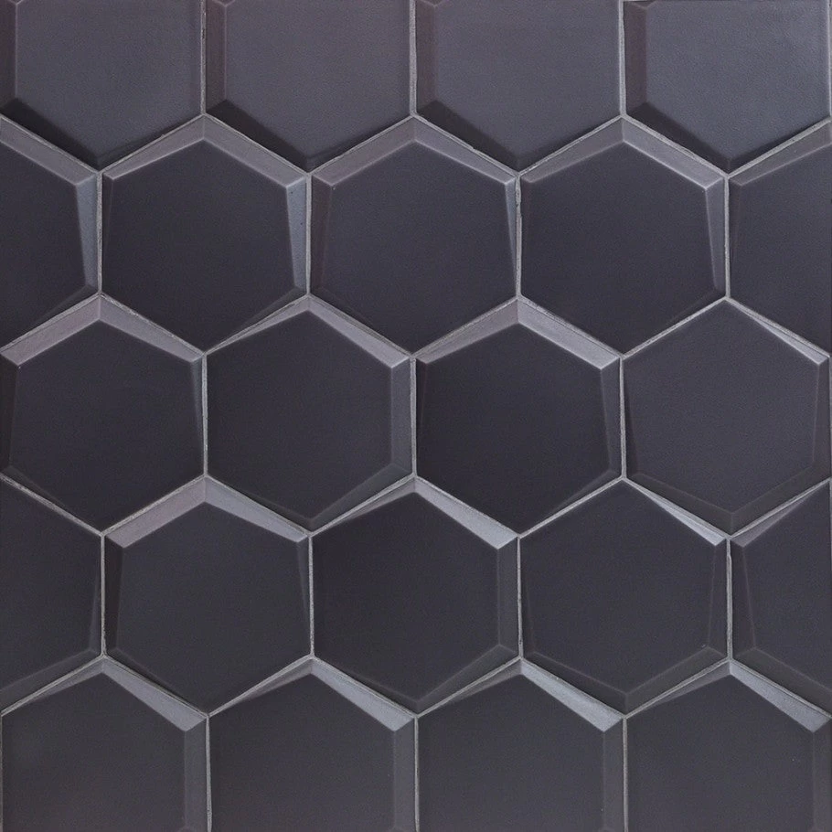 Magen Leveled-Hex Dark Gray Matte Ceramic Hexagon Tile