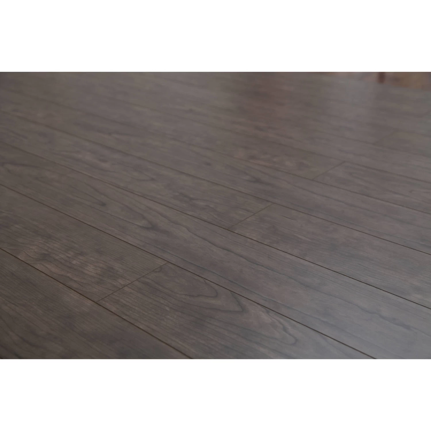 Dekorman 12mm AC3 Coast Collection Laminate Flooring - Grey Maple