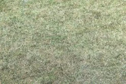 Automotive Jute Carpet Padding 27 Oz 36" Wide By 25 Yards Goes Under Carpet In Cars And Trucks