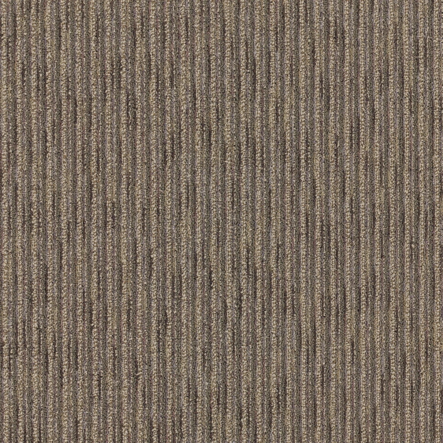Goodwick 24" X 24" (72SF/carton) Carpet Tile In SCIENTIST - Image 4