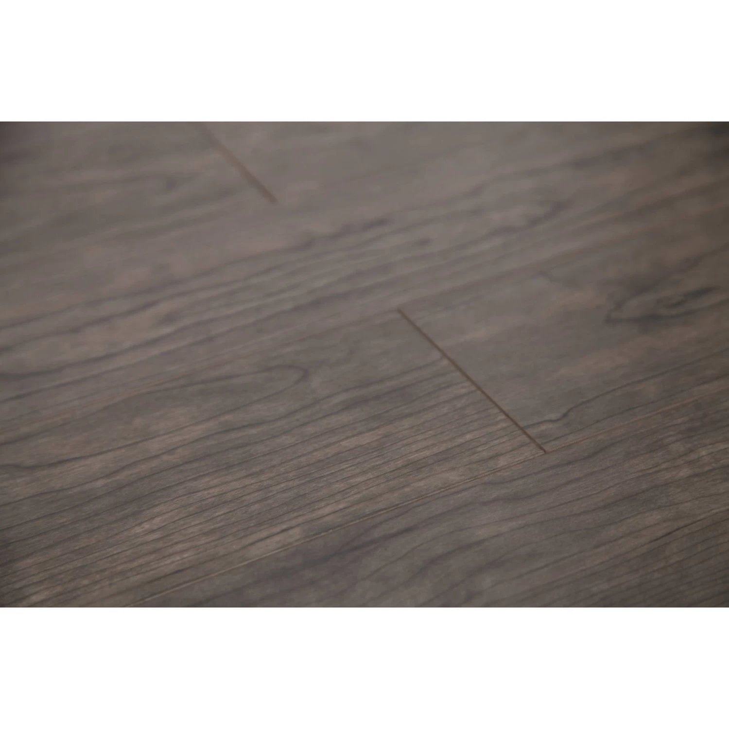 Dekorman 12mm AC3 Coast Collection Laminate Flooring - Grey Maple - Image 2